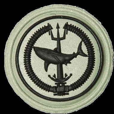 SANDF_Qualification_Attack_Diver_Instructor_badge_embossed.jpg